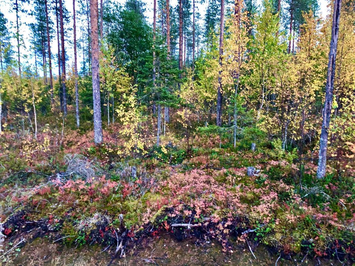 Lake Sieri House Rovaniemi Ngoại thất bức ảnh